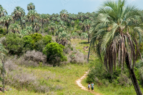 Parque Nacional El Palmar, Entre Rios, Argentina.