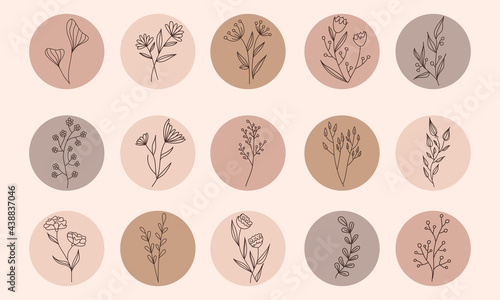 Vector abstract organic story set cover templates. Botanical illustration in earth tone colors. 