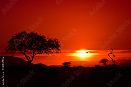 African adventure at sunset in Kenya