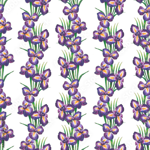 Seamless pattern with bright purple hand-drawn irises on a white background. This image can be used to create textiles, backgrounds, stationery and more.