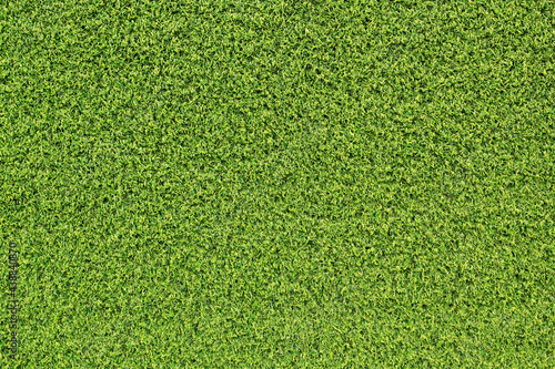 top view green grass texture for background