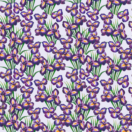 Seamless pattern with bright purple hand-drawn irises on a white background. This image can be used to create textiles, backgrounds, stationery and more.