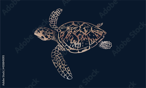 Hawksbill sea turtle