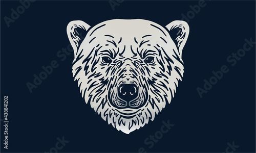 Polar bear portrait on dark background