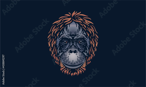 Sumatran orangutan - face on dark background photo