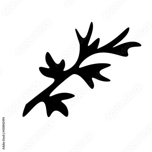 Cute hand drawn herbal elements. Decorative, botanical plant. Doodle for social media story. Black and white vector illustrations for holiday designs, wedding invitations, logo and greeting cards.