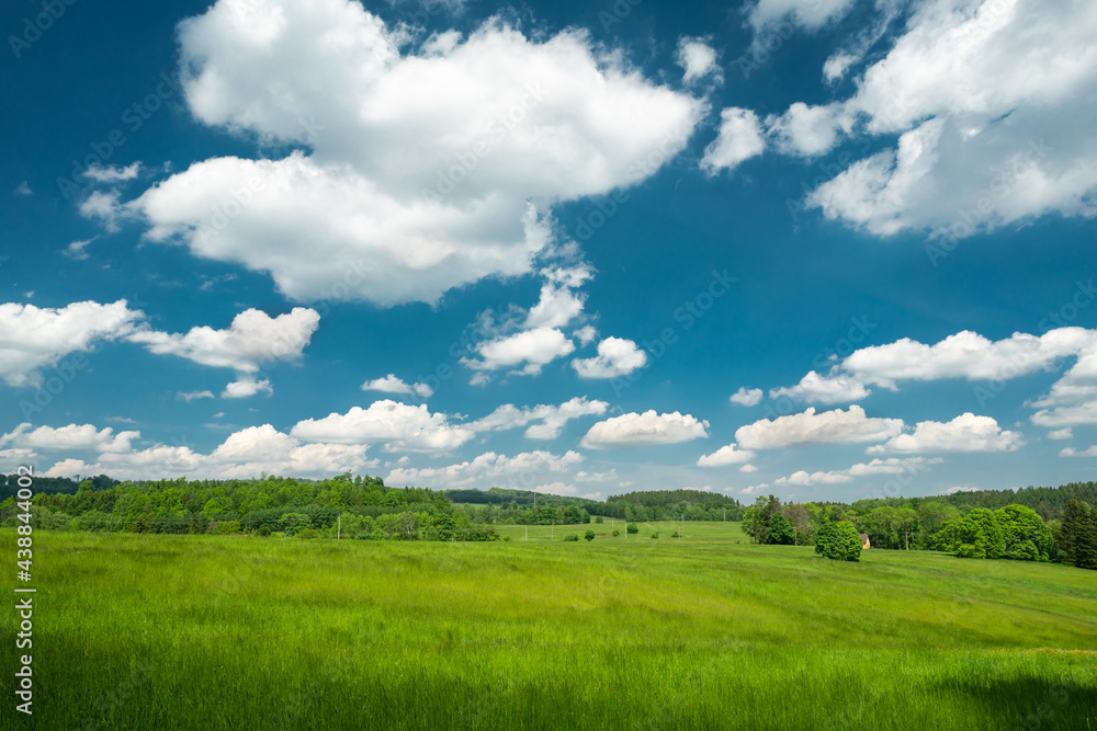 Picturesque scenery of green meadow and blue summer sky with white cumulus clouds in the region of Bohemian Switzerland in the Czech Republic.