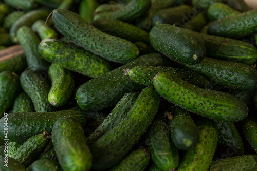 Lots of fresh cucumbers on the market counter. Vitamins and healthy food. Close-up.
