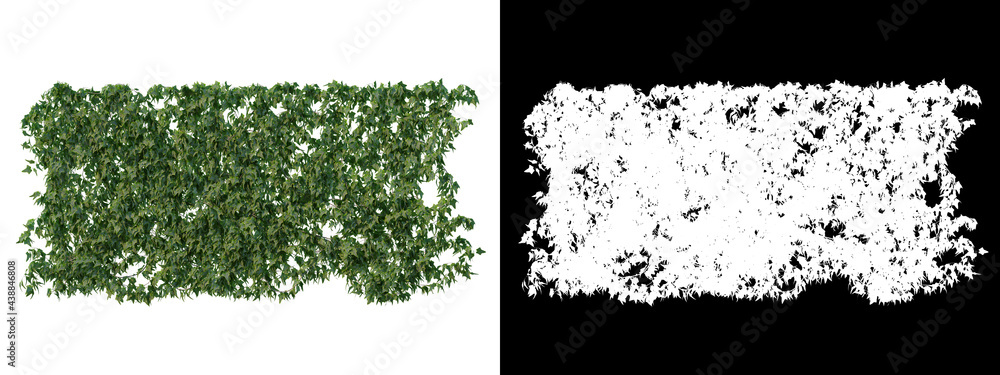 A wide variety of trees and shrubs
A wide variety of trees and shrubs