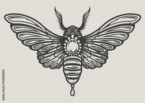 Vector illustration of a moth in decorative style