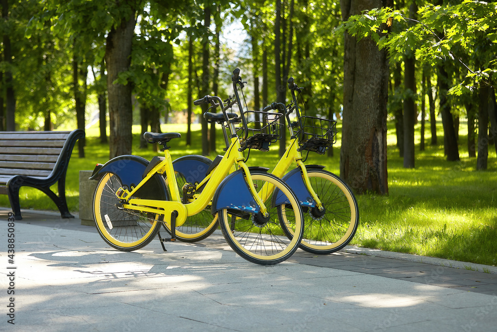 bicycles are parked in the city park. which can be rented