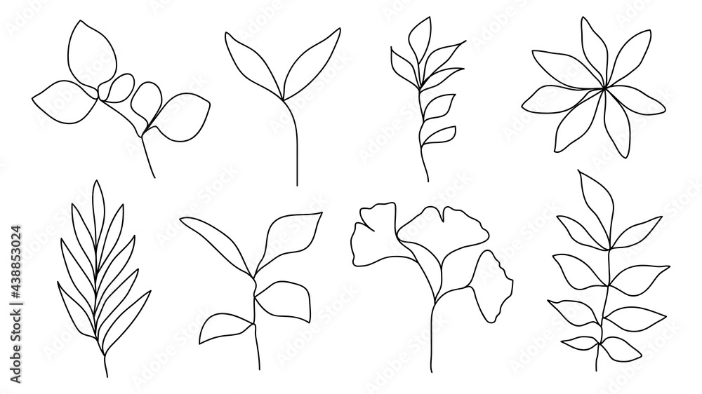 Obraz premium One line continuous of leaves, botanical plant set isolated, simple art design, abstract
