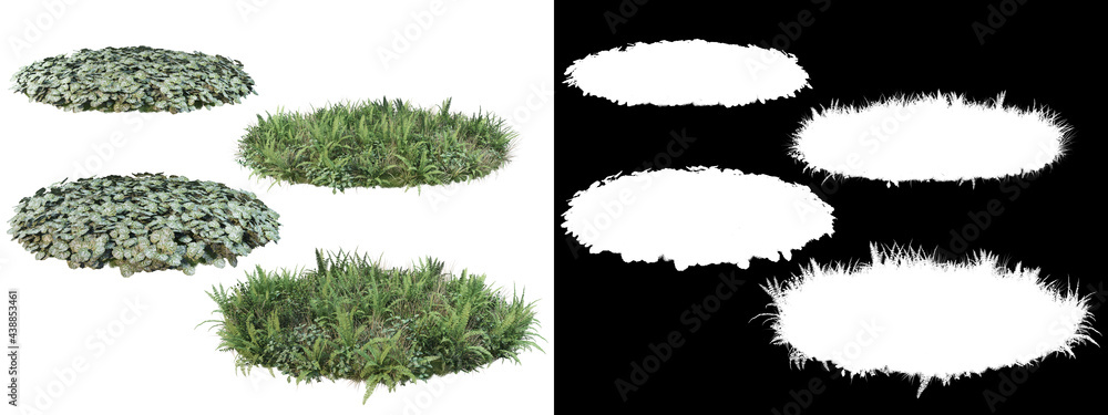 A wide variety of trees and shrubs
A wide variety of trees and shrubs