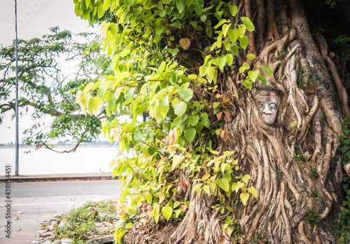 The face of a plaster statue is covered by tree roots in Savannakhet Province, Laos. © Chay