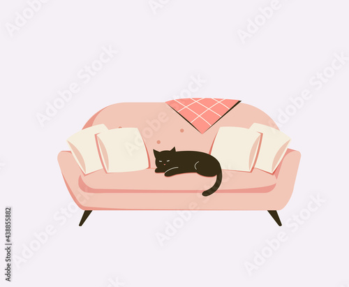 Black cat sleeping on a pink cozy sofa with pillows