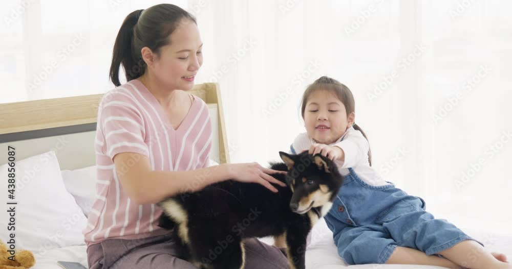 mother and daughter playing with black dog on bed 13 mother and daughter playing with black dog on bed 13