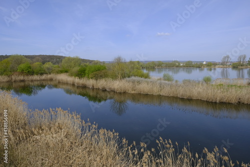 Gro  er W  rthsee im Naturschutzgebiet Mainaue bei Augsfeld  Stadt Ha  furt  Landkreis Hassberge  Unterfranken  Franken  Bayern  Deutschland