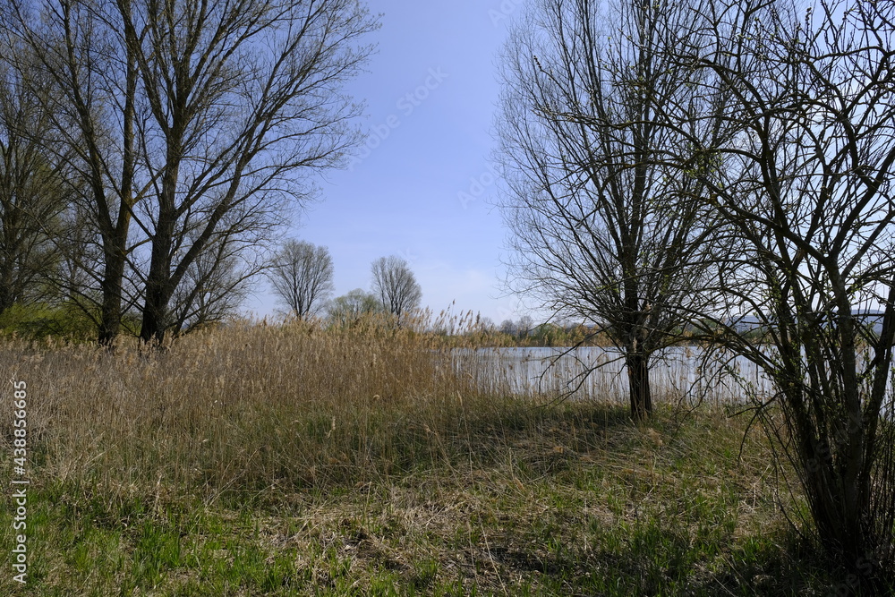 Großer Wörthsee im Naturschutzgebiet Mainaue bei Augsfeld, Stadt Haßfurt, Landkreis Hassberge, Unterfranken, Franken, Bayern, Deutschland Großer Wörthsee im Naturschutzgebiet Mainaue bei Augsfeld, Stadt Haßfurt, Landkreis Hassberge, Unterfranken, Franken, Bayern, Deutschland