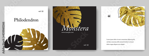 Square social media templates with gold monstera leaves, instagram and facebook layouts with white and black background