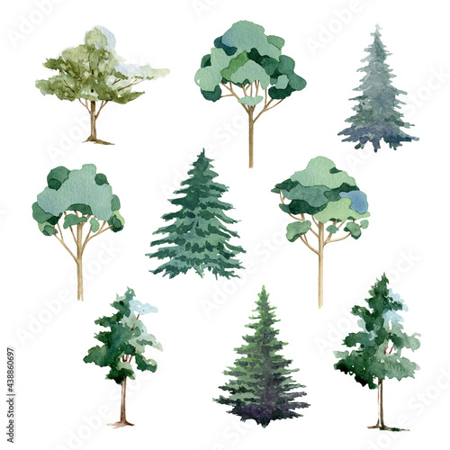 Tree set watercolor illustration. Hand drawn eucalyptus  pine  fir  linden  olive tree collection. Different types of wood isolated on white background. Fresh green lush plants. Botanical image