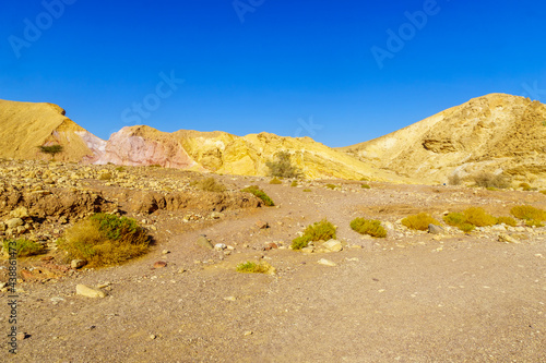 Nahal Shani  desert valley . Eilat Mountains