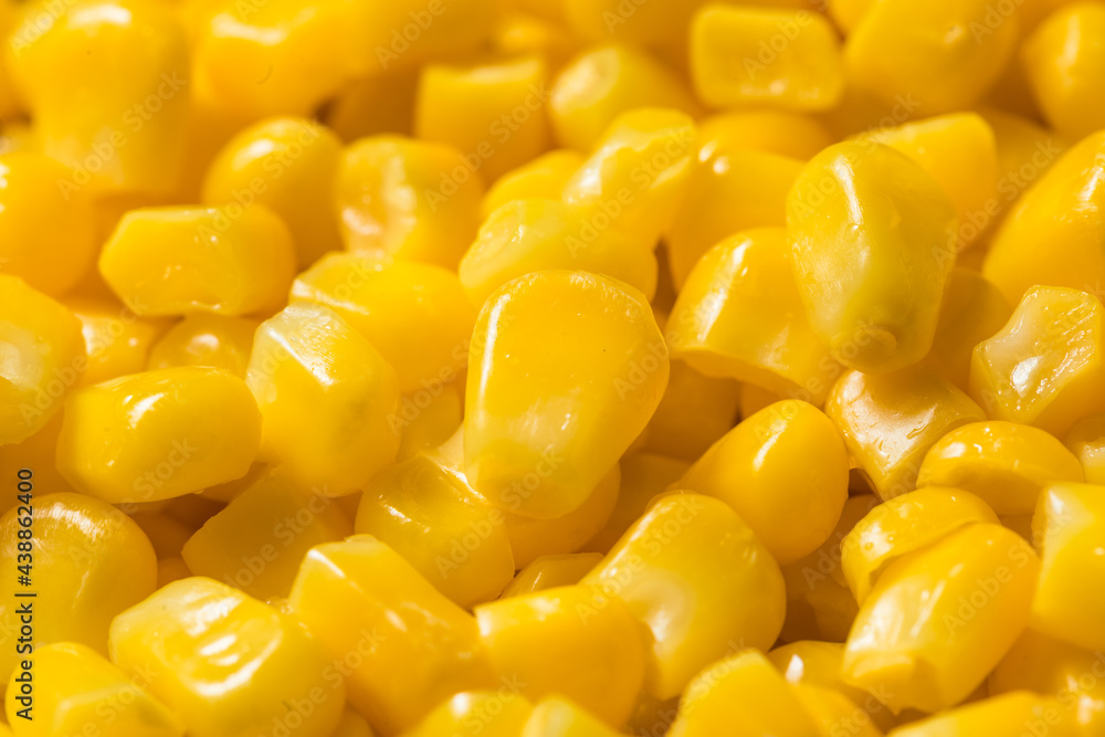 Homemade Organic Steamed Yellow Sweet Corn Homemade Organic Steamed Yellow Sweet Corn