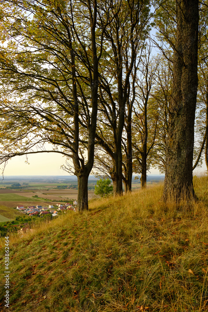 Landschaft und Weinberge rings um den Weinort Castell, Landkreis Kitzingen, Unterfranken, Bayern, Deutschland Landschaft und Weinberge rings um den Weinort Castell, Landkreis Kitzingen, Unterfranken, Bayern, Deutschland