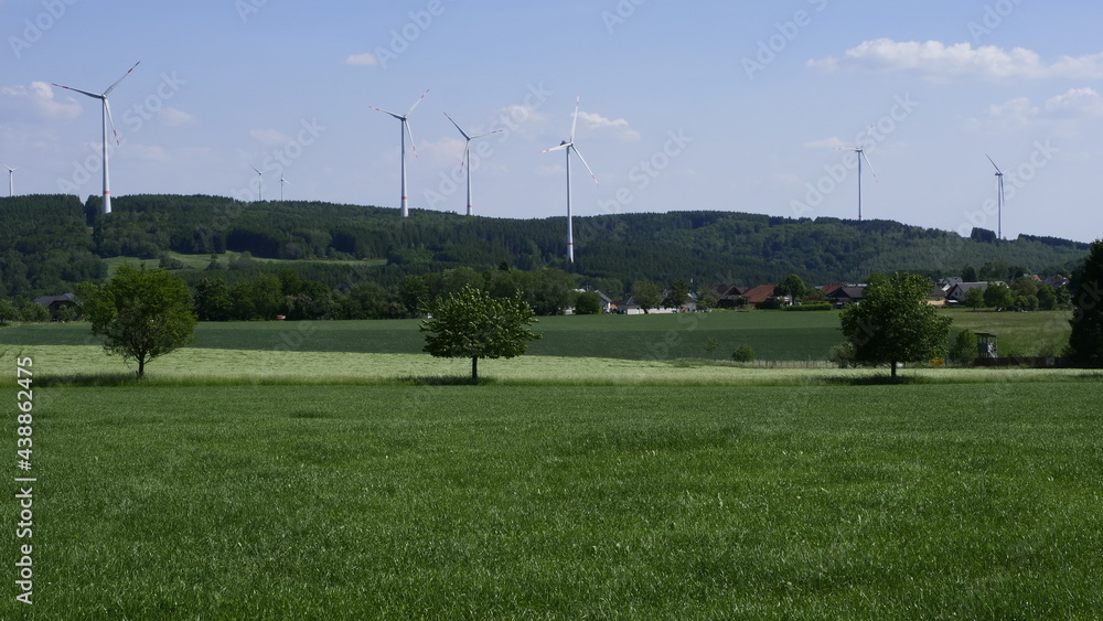 Fototapeta premium Grimburg