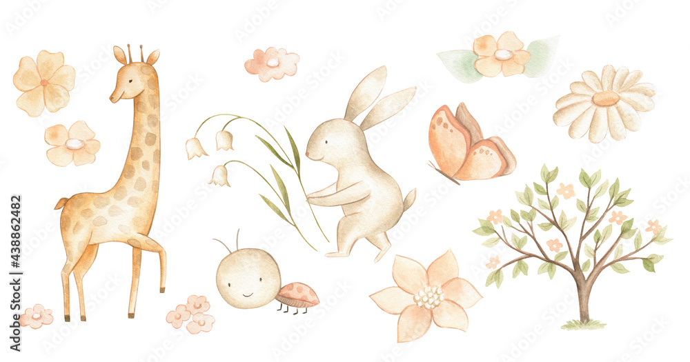 Watercolor woodland baby animals spring pastel color illustration for nursery 
