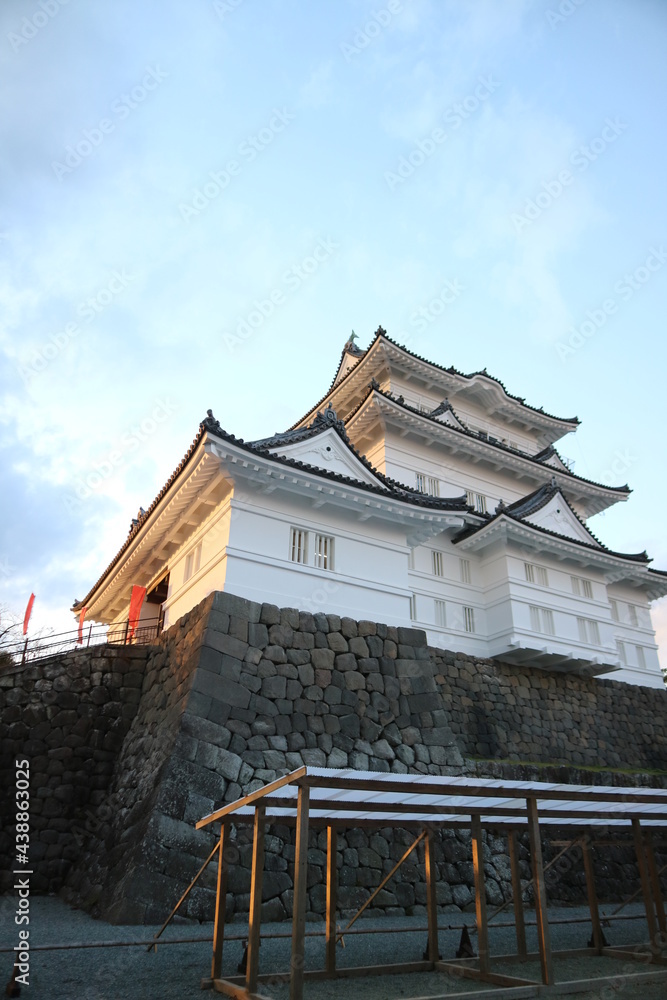 Fototapeta premium japanese castle