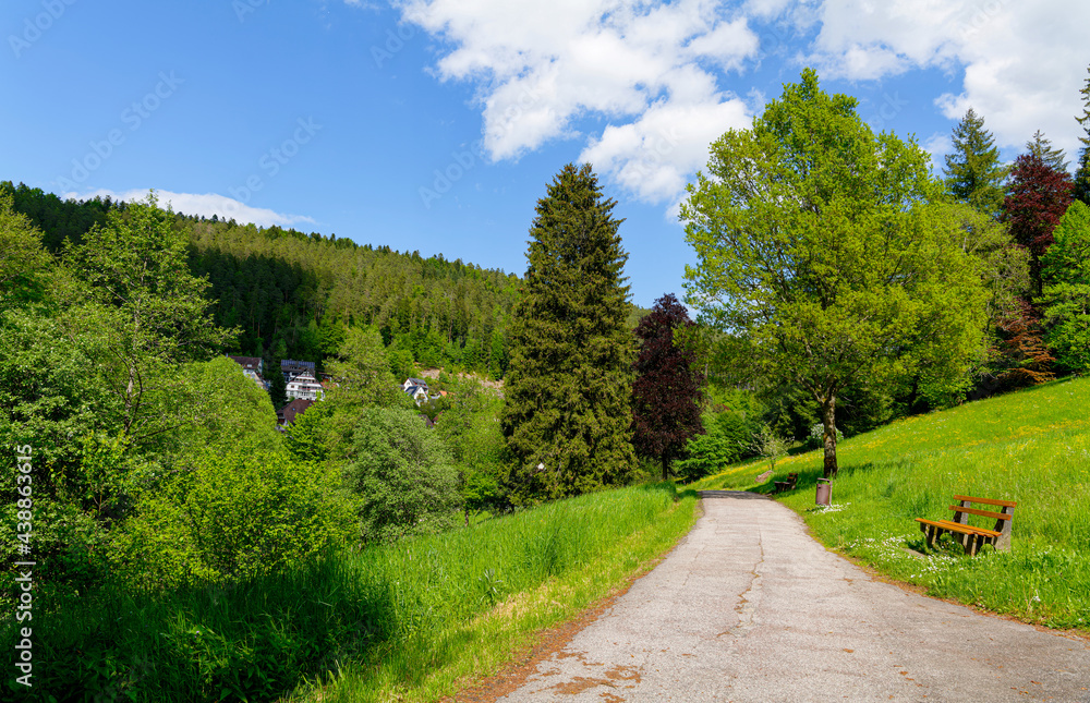Bad Teinach im Schwarzwald, Kurpark Bad Teinach im Schwarzwald, Kurpark