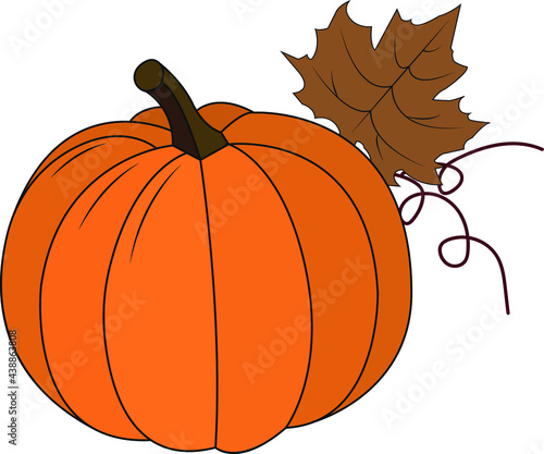 Autumn season big pumpkin and leaf vector graphic