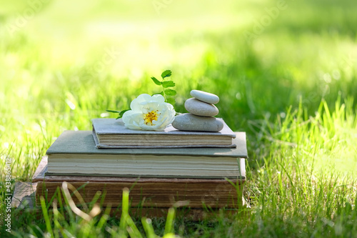 Photography Rose flower, old books and stack of zen stones on green natural background