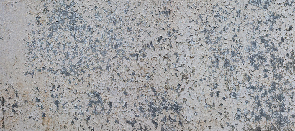 Fototapeta premium Rough wall texture with peeling paint. Gray background, grunge.