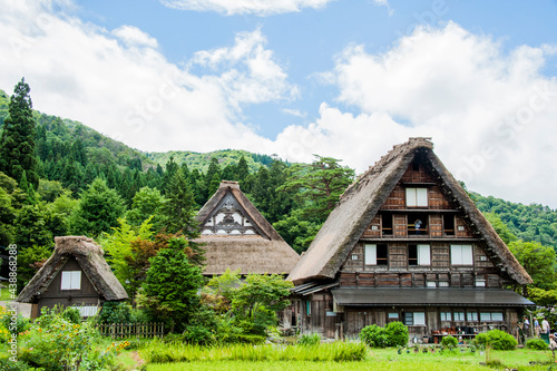 Ancient houses covered with dried rice straw, gassho style houses, in the UNESCO World Heritage-listed village of Shirakawago in Gifu, Japan