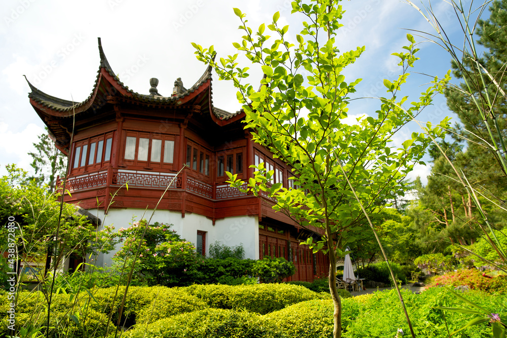 Chinese gardens in the hortus botanicus of Groningen early summer Chinese gardens in the hortus botanicus of Groningen early summer