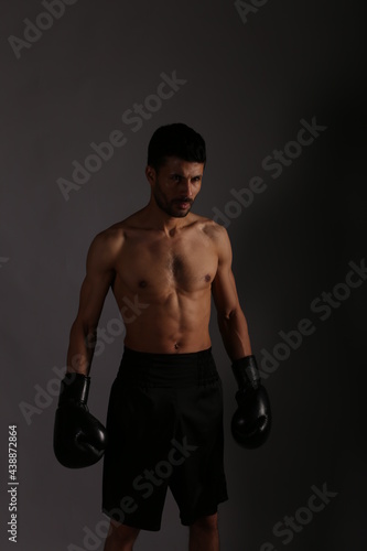 Young boxer on gray background © Сергей Луговский