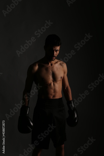 Boxer on gray background in shadows