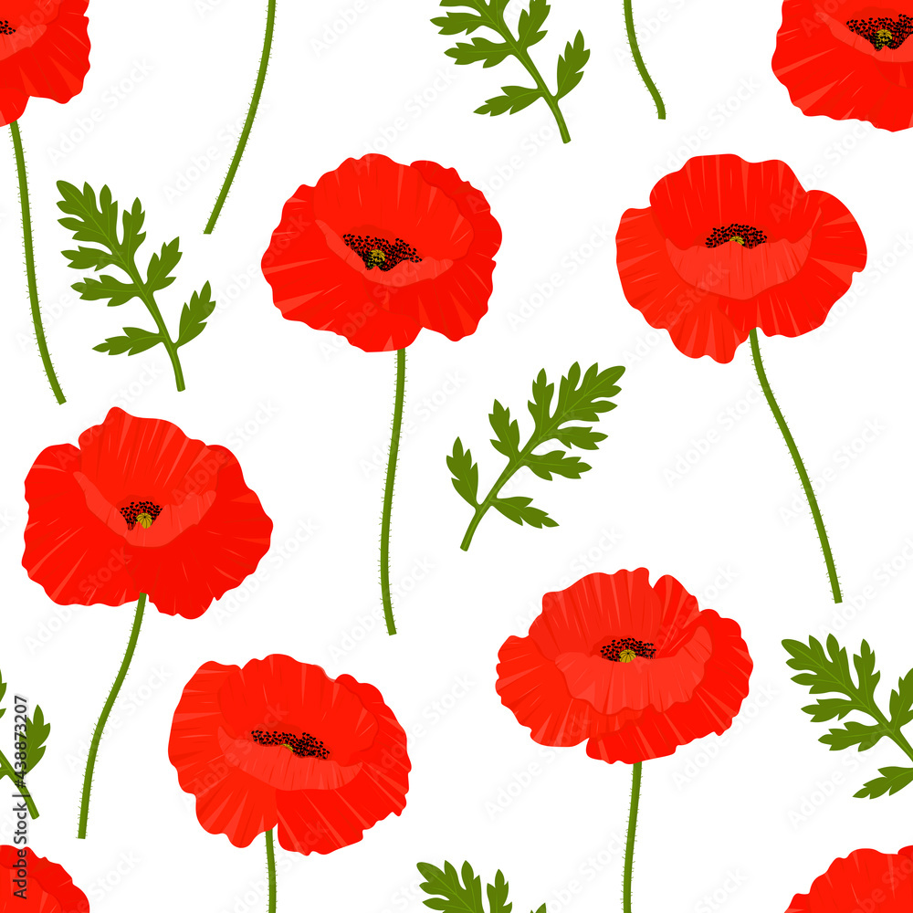 Obraz premium Seamless pattern poppies flowers vector illustration. Provence wildflowers 