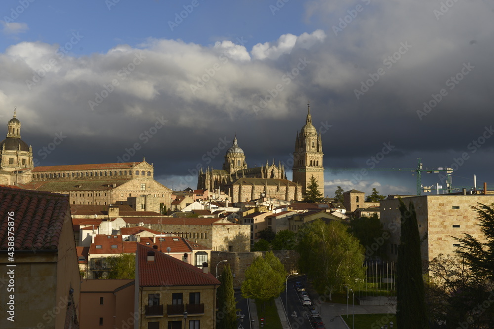 Naklejka premium Università di Salamanca Spagna