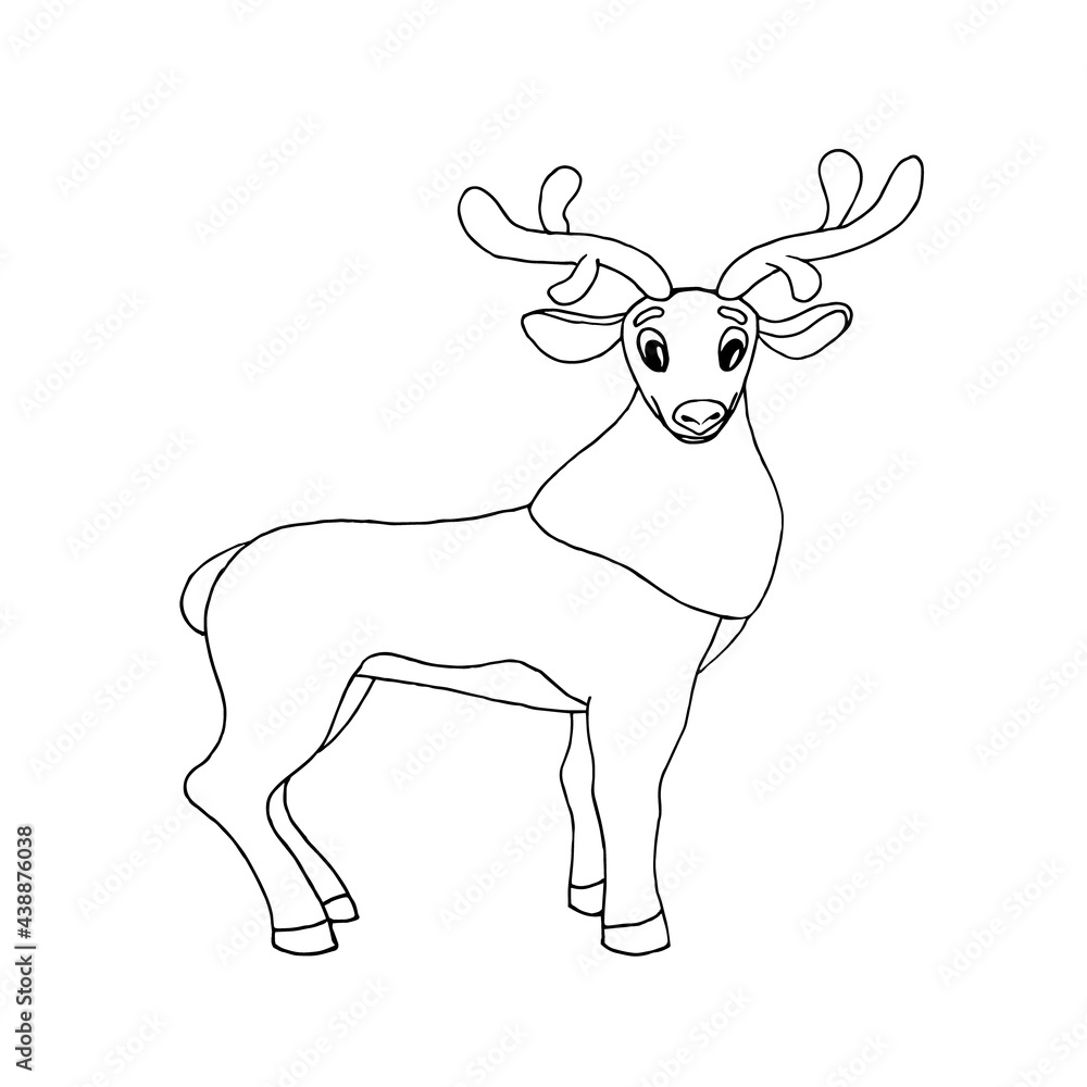 DEER WITH HORNS CLOSE-UP ON A WHITE BACKGROUND, DOODLE.Vector deer can be used in postcards, coloring pages, Christmas designs,textiles
