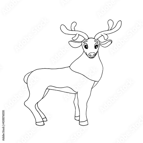 DEER WITH HORNS CLOSE-UP ON A WHITE BACKGROUND, DOODLE.Vector deer can be used in postcards, coloring pages, Christmas designs,textiles © VERONIKA