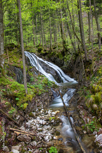 waterfall in the forest