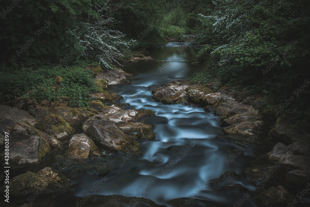 Bach im Wald Bach im Wald