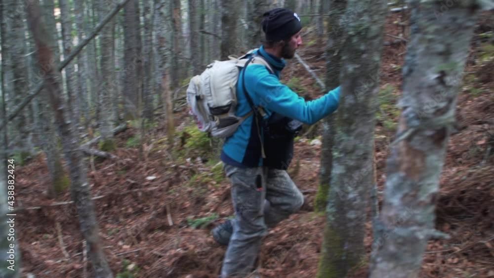 Trekkers with sticks are climbing the mountain through the deep november wood. Backpackers explore the forest Trekkers with sticks are climbing the mountain through the deep november wood. Backpackers explore the forest