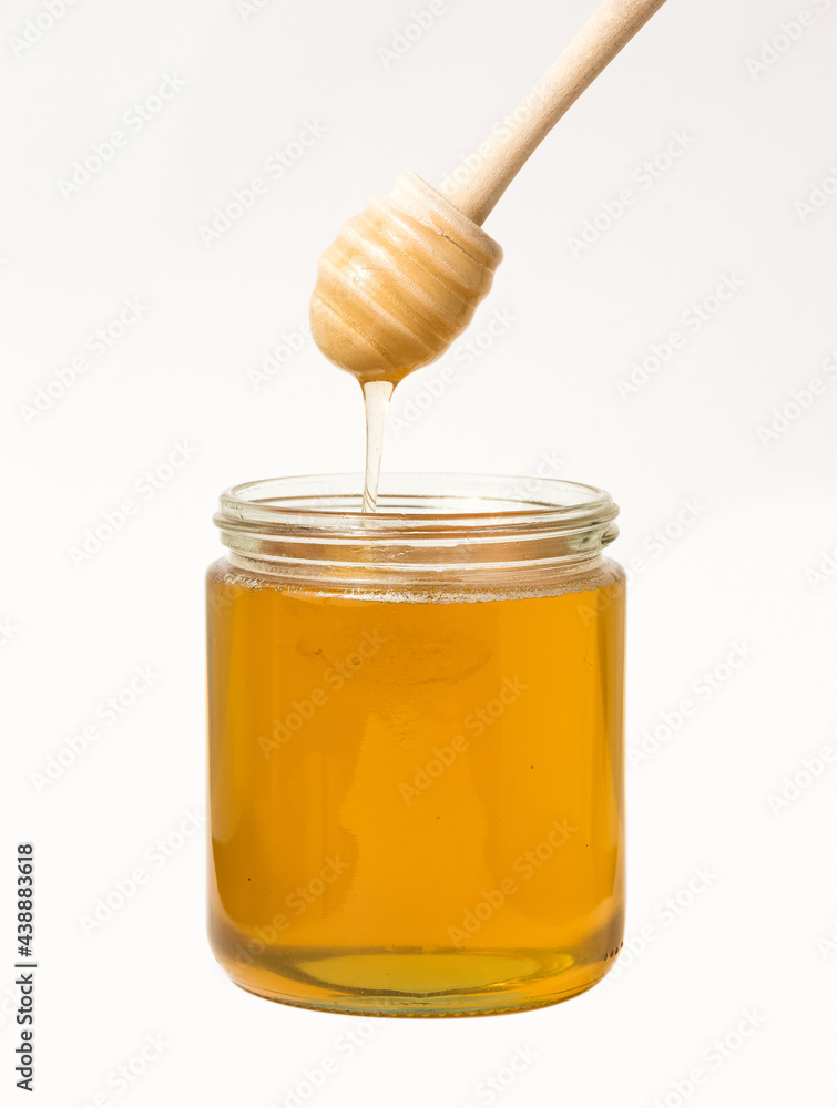Rapshonig (Frühtracht Blüte) ungerührt im 500g Glas Rapshonig (Frühtracht Blüte) ungerührt im 500g Glas