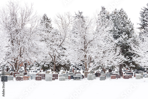 Obraz na plátně Fairmont Cemetery, Denver, Colorado in winter with frosted trees