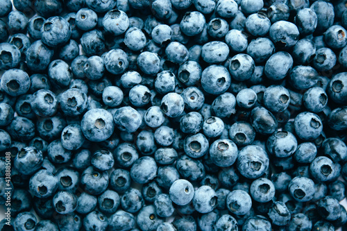 Blueberry Background. Texture blueberry berries close up. Various fresh summer berries. Blue food.