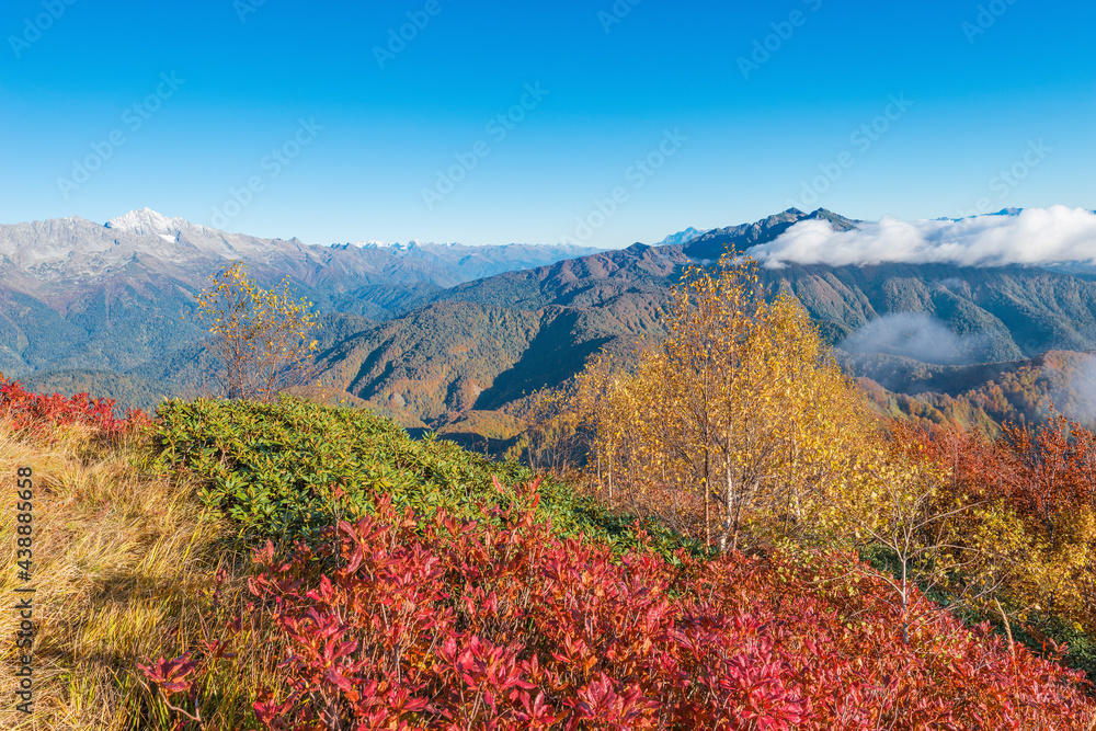 Mountain forest view at autumn evening time. Sochi.