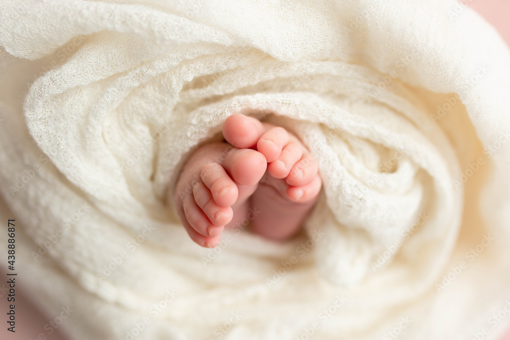 small feet of a newborn baby. baby foot small feet of a newborn baby. baby foot